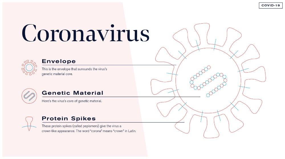 Coronavirus naming