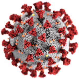 COVID 19 virus